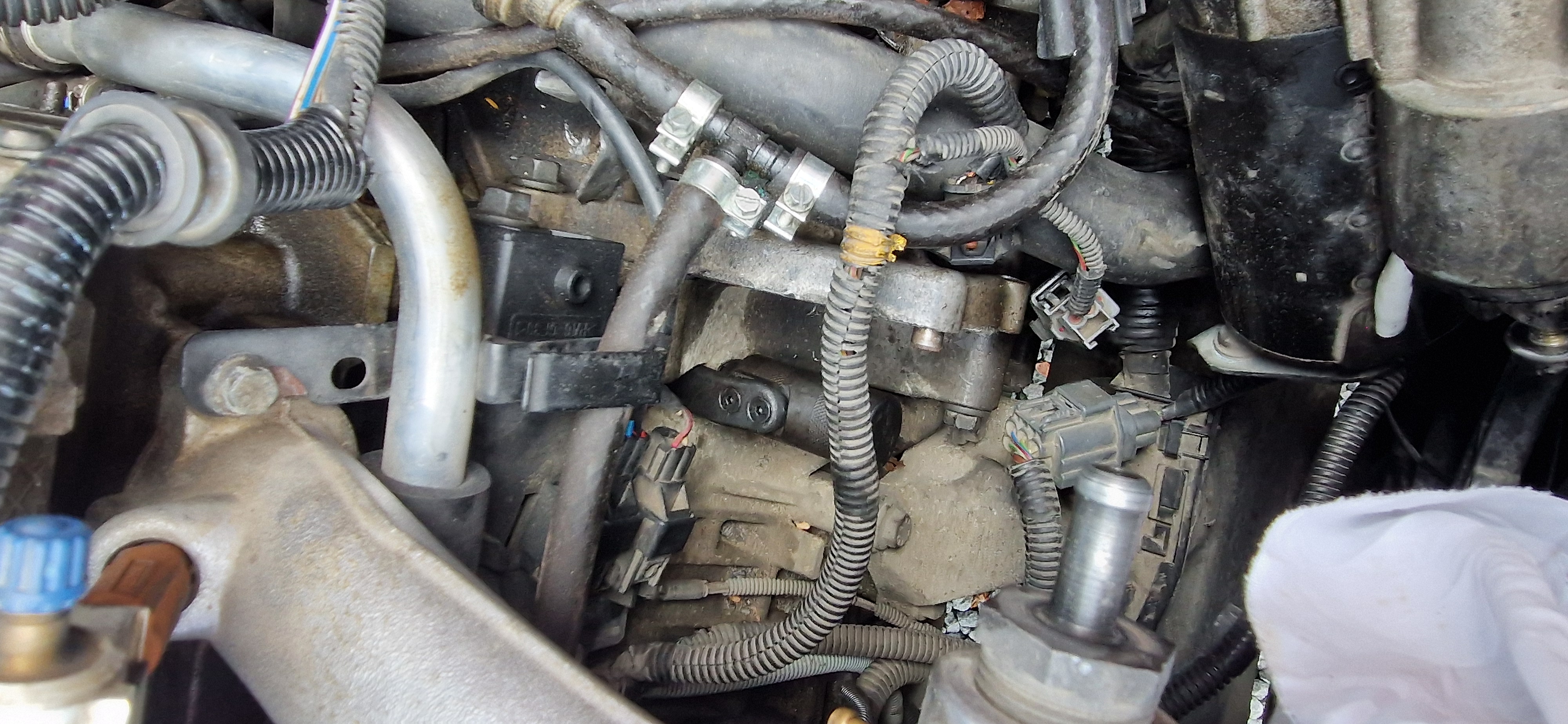 20260521_151959.jpg