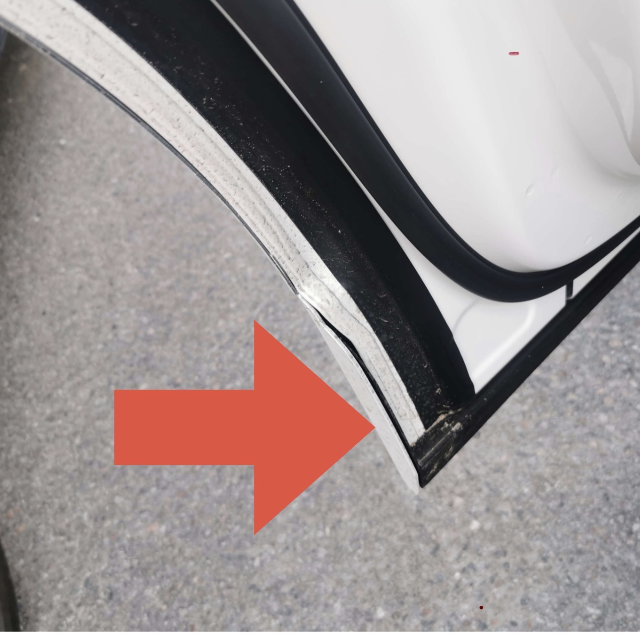 IMG_2659.jpeg
