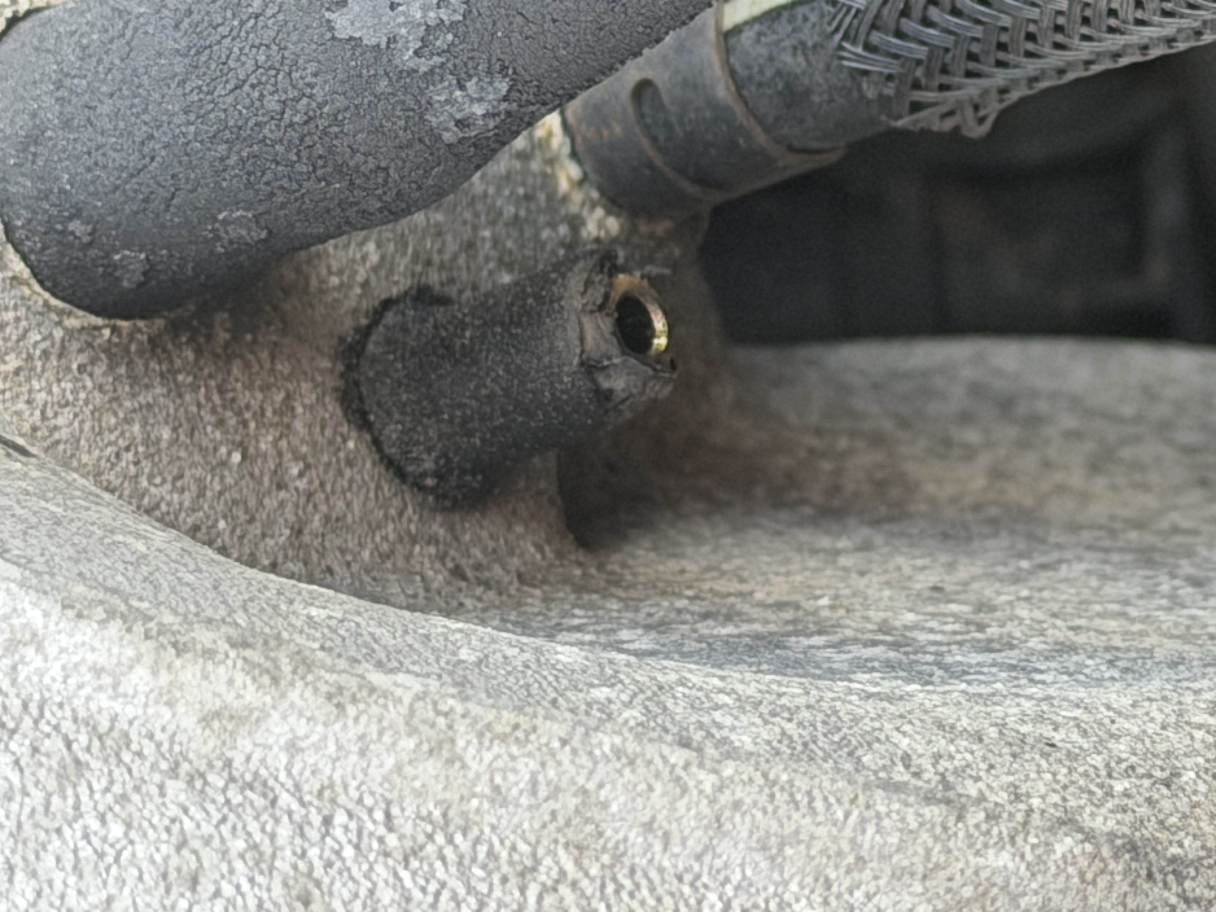 IMG_0487.jpeg