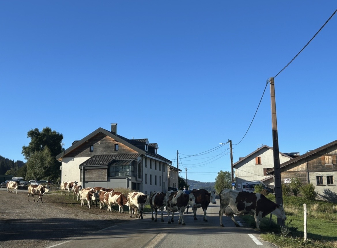 IMG_6957.jpeg