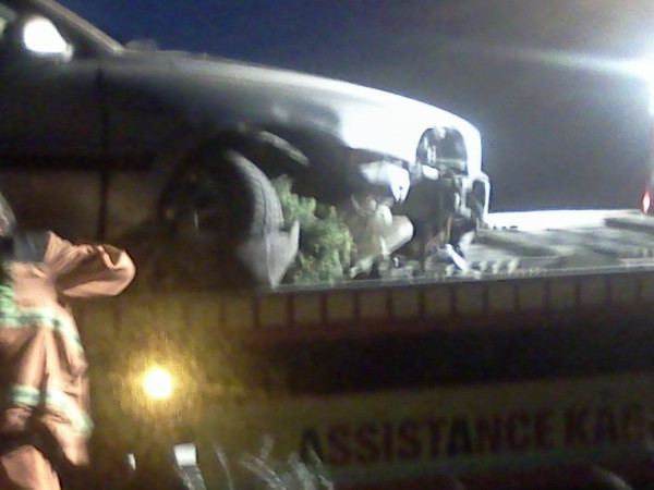 IMG20100801_005.jpg