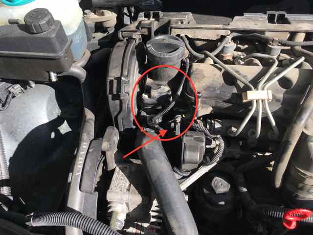 IMG_0204 kopia låg.jpg