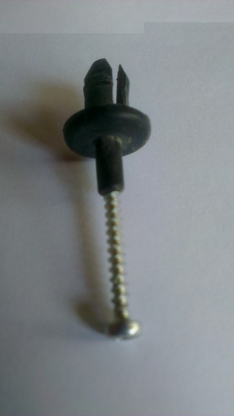 IMAG0149.jpg